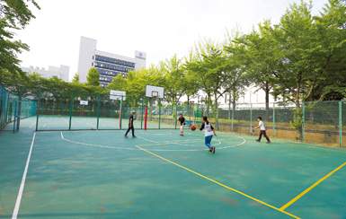 Basketball & Volleyball Court