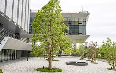 A peaceful green space and fountain area where students can relax between classes.
