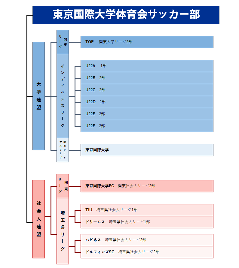 東京国際大学 サッカー部 所属リーグ 東京国際大学 サッカー部 所属リーグ